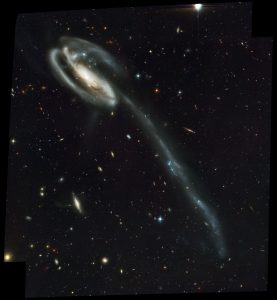 A colliding galaxy dubbed the "Tadpole" (catalog name UGC10214) is set against a rich tapestry of 6,000 galaxies. The Tadpole, with its long tail of stars, looks like a runaway pinwheel firework, unlike the textbook images of stately spiral galaxies. Its distorted shape was caused by a small interloper, a very blue, compact galaxy visible near the more massive Tadpole. The Tadpole resides about 420 million light-years away in the constellation Draco. Seen shining through the Tadpole's disk, the tiny intruder is likely a hit-and-run galaxy that is now leaving the scene of the accident. Strong gravitational forces from the interaction created the long tail of debris, consisting of stars and gas that stretch out more than 280,000 light-years.