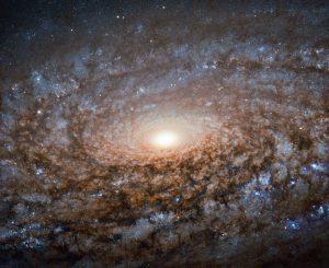 This new image of the spiral galaxy NGC 3521 from the NASA/ESA Hubble Space Telescope is not out of focus. Instead, the galaxy itself has a soft, woolly appearance as it a member of a class of galaxies known as flocculent spirals. Like other flocculent galaxies, NGC 3521 lacks the clearly defined, arcing structure to its spiral arms that shows up in galaxies such as Messier 101, which are called grand design spirals. In flocculent spirals, fluffy patches of stars and dust show up here and there throughout their discs. Sometimes the tufts of stars are arranged in a generally spiralling form, as with NGC 3521, but illuminated star-filled regions can also appear as short or discontinuous spiral arms. About 30 percent of galaxies share NGC 3521's patchiness, while approximately 10 percent have their star-forming regions wound into grand design spirals. NGC 3521 is located almost 40 million light-years away in the constellation of Leo (The Lion). The British astronomer William Herschel discovered the object in 1784. Through backyard telescopes, NGC 3521 can have a glowing, rounded appearance, giving rise to its nickname, the Bubble Galaxy.