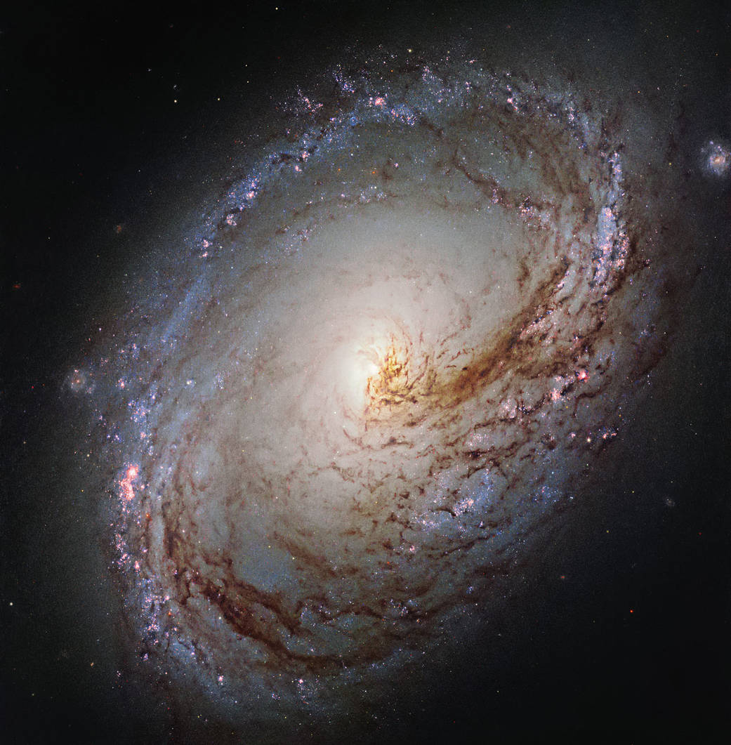 This new NASA/ESA Hubble Space Telescope shows Messier 96, a spiral galaxy just over 35 million light-years away in the constellation of Leo (The Lion). It is of about the same mass and size as the Milky Way. It was first discovered by astronomer Pierre Méchain in 1781, and added to Charles Messier’s famous catalogue of astronomical objects just four days later. The galaxy resembles a giant maelstrom of glowing gas, rippled with dark dust that swirls inwards towards the nucleus. Messier 96 is a very asymmetric galaxy; its dust and gas is unevenly spread throughout its weak spiral arms, and its core is not exactly at the galactic centre. Its arms are also asymmetrical, thought to have been influenced by the gravitational pull of other galaxies within the same group as Messier 96. This group, named the M96 Group, also includes the bright galaxies Messier 105 and Messier 95, as well as a number of smaller and fainter galaxies. It is the nearest group containing both bright spirals and a bright elliptical galaxy (Messier 105).