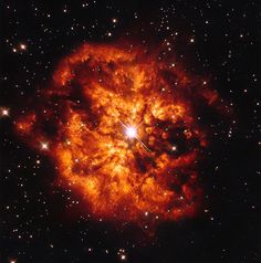 Here we see the spectacular cosmic pairing of the star Hen 2-427 — more commonly known as WR 124 — and the nebula M1-67 which surrounds it. Both objects, captured here by the NASA/ESA Hubble Space Telescope are found in the constellation of Sagittarius and lie 15 000 light-years away. The star Hen 2-427 shines brightly at the very centre of this explosive image and around the hot clumps of gas are ejected into space at over 150 000 kilometres per hour. Hen 2-427 is a Wolf–Rayet star, named after the astronomers Charles Wolf and Georges Rayet. Wolf–Rayet are super-hot stars characterised by a fierce ejection of mass. The nebula M1-67 is estimated to be no more than 10 000 years old — just a baby in astronomical terms — but what a beautiful and magnificent sight it makes. A version of this image was released in 1998, but has now been re-reduced with the latest software.