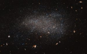   This Hubble image shows NGC 4789A, a dwarf irregular galaxy in the constellation of Coma Berenices. It certainly lives up to its name — the stars that call this galaxy home are smeared out across the sky in an apparently disorderly and irregular jumble, giving NGC 4789A a far more subtle and abstract appearance than its glitzy spiral and elliptical cousins. These stars may look as if they have been randomly sprinkled on the sky, but they are all held together by gravity. The colours in this image have been deliberately exaggerated to emphasise the mix of blue and red stars. The blue stars are bright, hot and massive stars that have formed relatively recently, whereas the red stars are much older. The presence of both tells us that stars have been forming in this galaxy throughout its history. At a distance of just over 14 million light-years away NGC 4789A is relatively close to us, allowing us to see many of the individual stars within its bounds. This image also reveals numerous other galaxies, far more distant, that appear as fuzzy shapes spread across the image.  